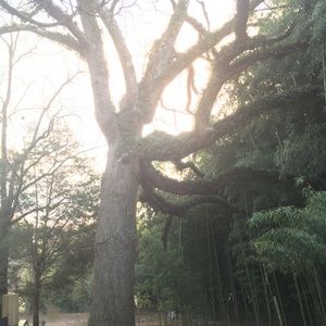 Meet your Posher, Kristy